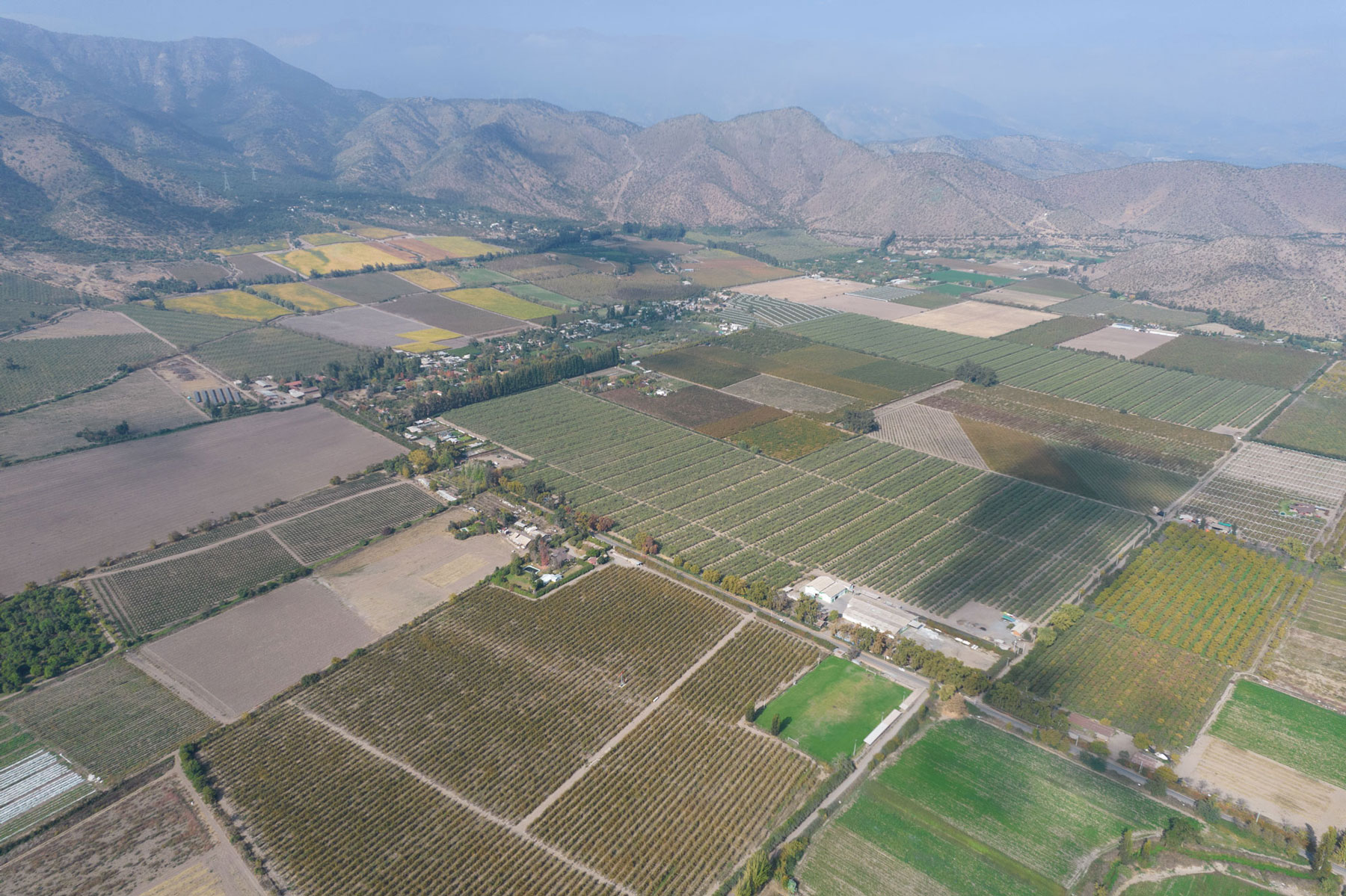 Zonas de Alta Demanda Inmobiliaria en Crecimiento