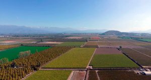 Ubicaciones estratégicas y alta plusvalía: por qué invertir en los proyectos de Sitios Urbanos es una decisión de largo plazo